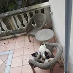 Agriturismo Il Casotto Bauernhof *