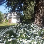 Agriturismo Il Casotto Maida