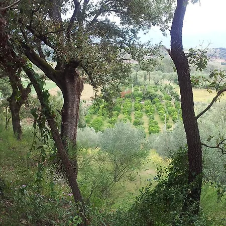 Farmház Il Casotto