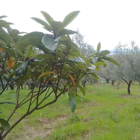 Agriturismo Il Casotto Bauernhof Maida