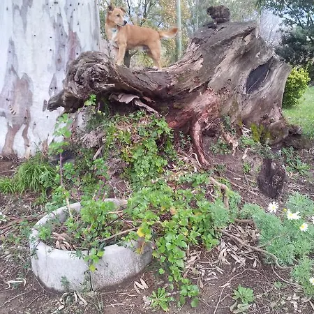 Bauernhof Agriturismo Il Casotto *