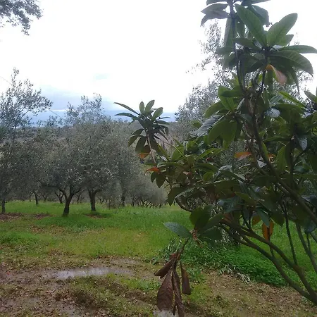 Agriturismo Il Casotto *