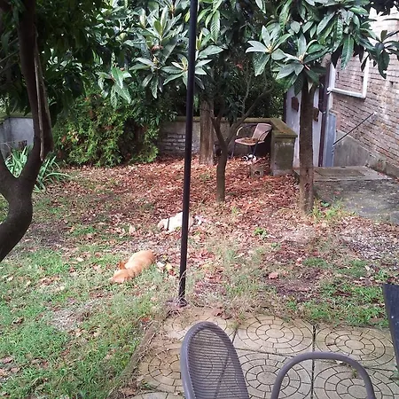 Agriturismo Il Casotto Bauernhof *