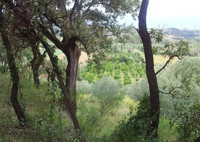 Alojamento de Turismo Rural Il Casotto