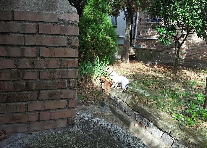 Alojamento de Turismo Rural Il Casotto