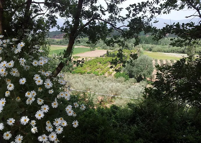 Alojamento de Turismo Rural Il Casotto *